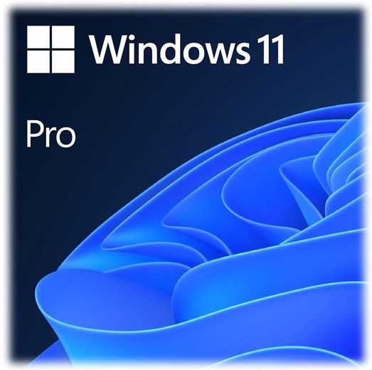 Microsoft Windows 11 Professional 64bit (OEM)
