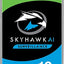 Seagate 10TB  Surveillance HDD DVR (ST10000VE001)