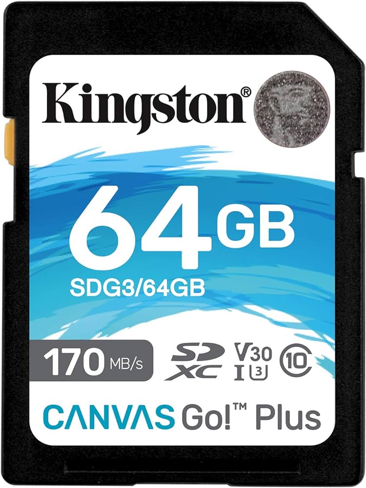 Kingston MicroSD 64GB SDXC Canvas Go Plus 170MB/s Read UHS-I, C10, U3, V30 Memory Card (SDG3/64GB)