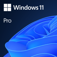 Microsoft Windows 11 Professional 64bit (OEM)