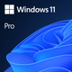 Microsoft Windows 11 Professional 64bit (OEM)