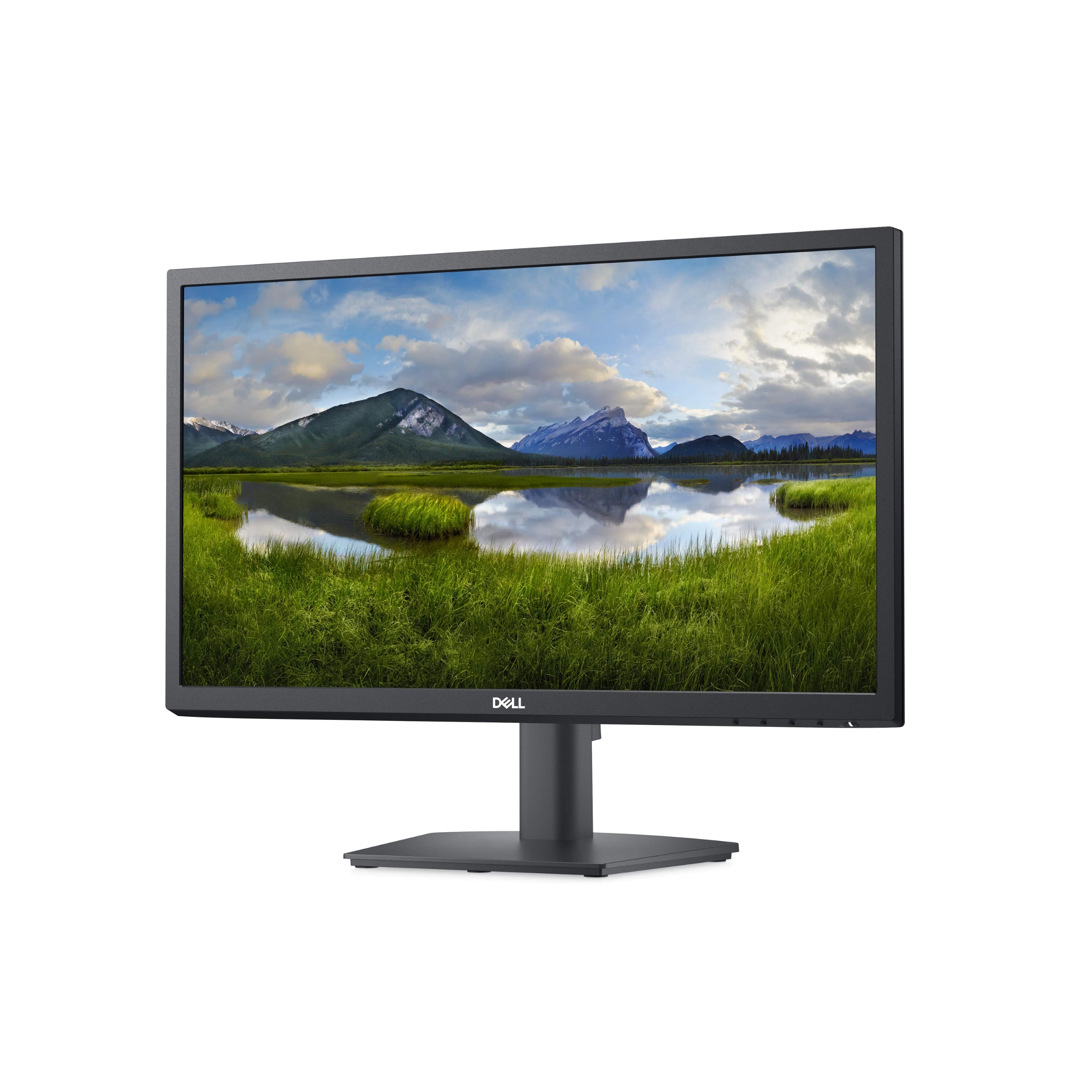 Dell 22